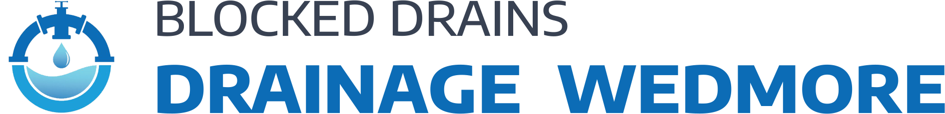 website logo